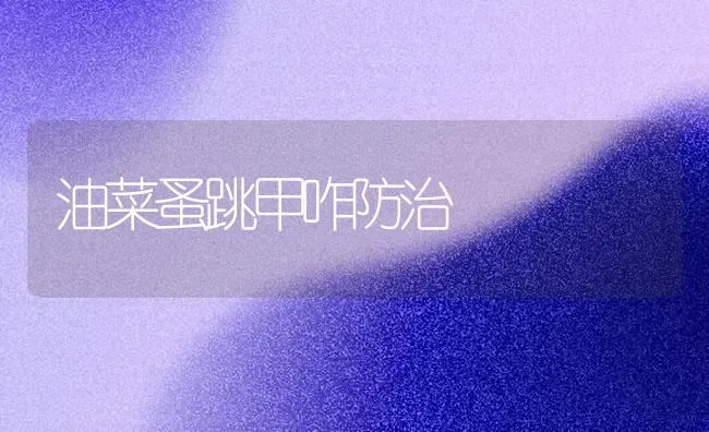 油菜蚤跳甲咋防治 | 粮油作物种植