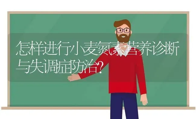 怎样进行小麦氮素营养诊断与失调症防治？ | 粮油作物种植