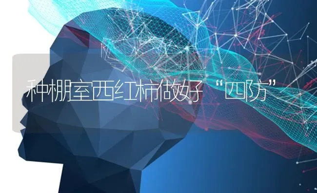种棚室西红柿做好“四防” | 蔬菜种植