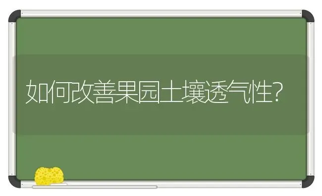 如何改善果园土壤透气性？ | 瓜果种植