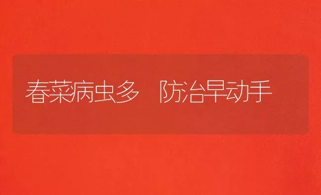 春菜病虫多 防治早动手 | 蔬菜种植