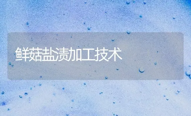 鲜菇盐渍加工技术 | 食用菌种植