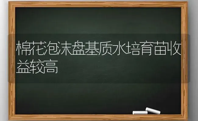 棉花泡沫盘基质水培育苗收益较高 | 粮油作物种植