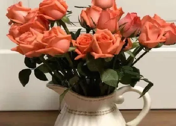 送花|结婚纪念日送什么花 周年纪念适合给老婆的四种鲜花