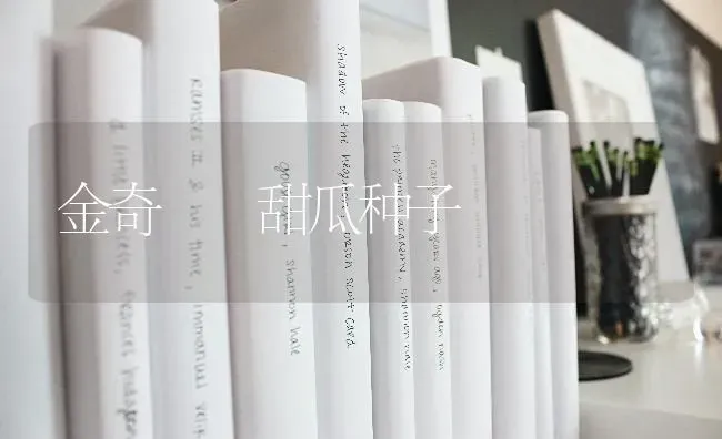 金奇――甜瓜种子 | 瓜果种植