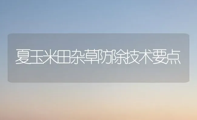夏玉米田杂草防除技术要点 | 瓜果种植