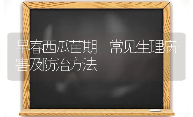 早春西瓜苗期 常见生理病害及防治方法 | 瓜果种植