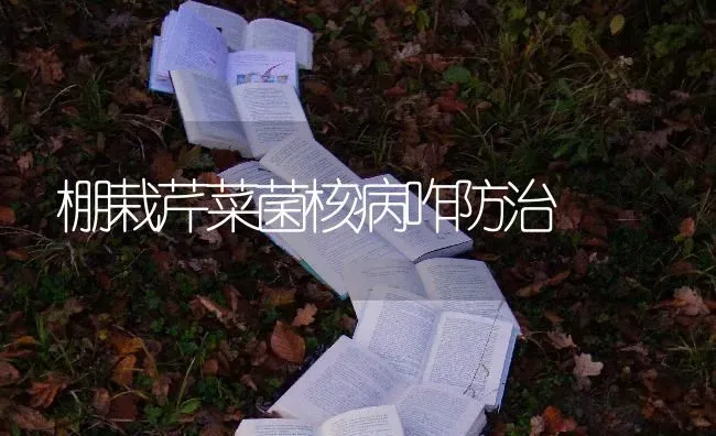 棚栽芹菜菌核病咋防治 | 蔬菜种植