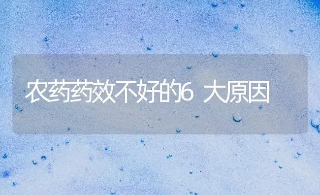 沼气贮粮贮果新技术 | 瓜果种植