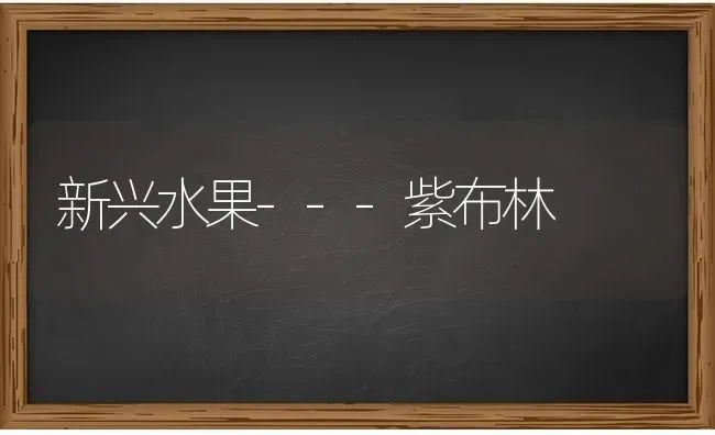 新兴水果---紫布林 | 瓜果种植