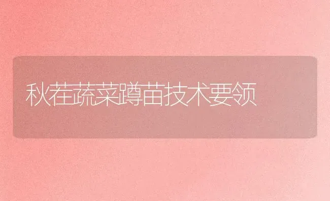 秋茬蔬菜蹲苗技术要领 | 蔬菜种植