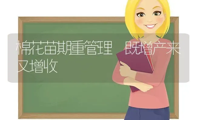 棉花苗期重管理 既增产来又增收 | 粮油作物种植