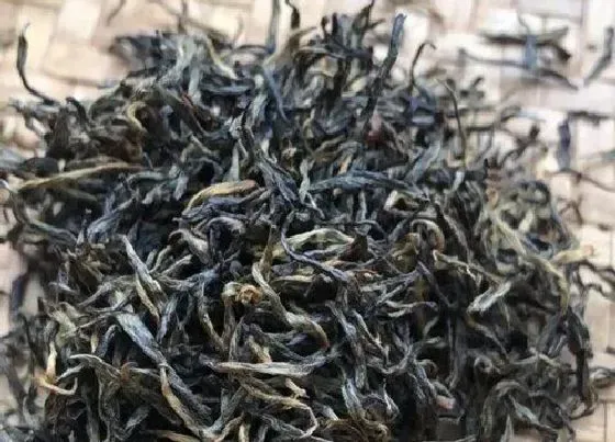 食用须知|三年未开封的红茶还能喝吗（红茶叶超过3年还能喝吗）