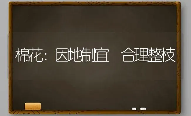 棉花：因地制宜 合理整枝 | 粮油作物种植