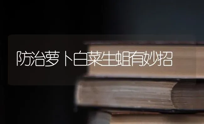 防治萝卜白菜生蛆有妙招 | 蔬菜种植