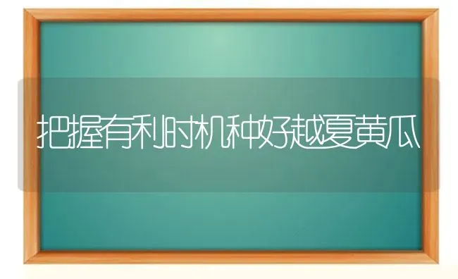 把握有利时机种好越夏黄瓜 | 蔬菜种植