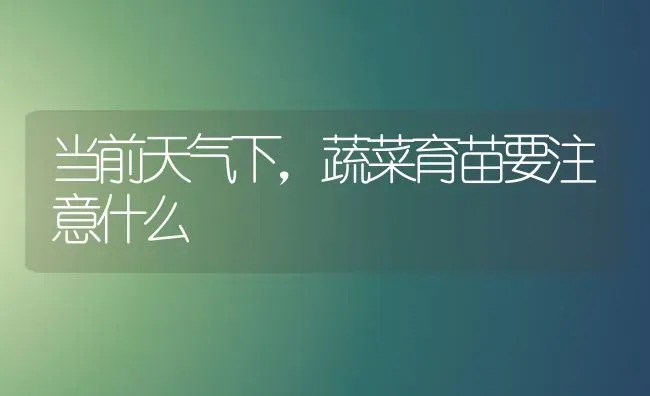 当前天气下，蔬菜育苗要注意什么 | 蔬菜种植