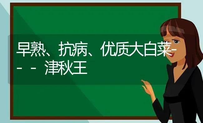 早熟、抗病、优质大白菜---津秋王 | 蔬菜种植