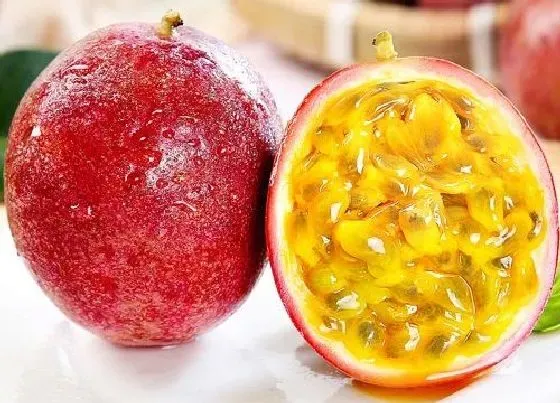 生长环境|百香果生长在哪里 一般长在什么地方