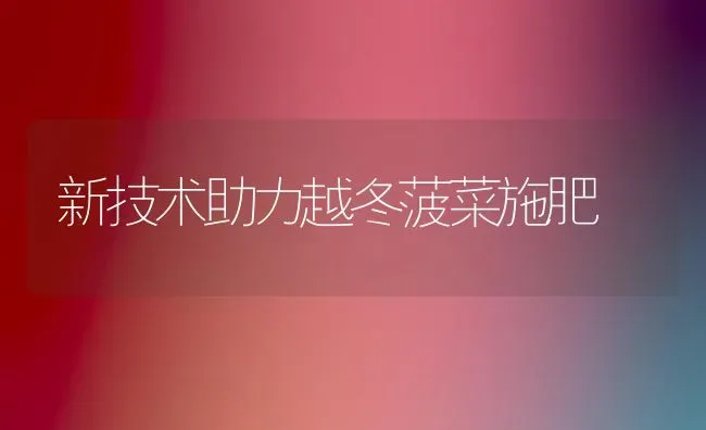 新技术助力越冬菠菜施肥 | 种植肥料施肥