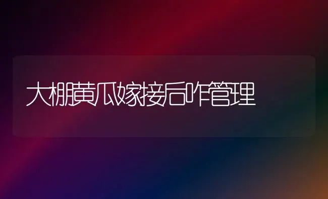 大棚黄瓜嫁接后咋管理 | 蔬菜种植