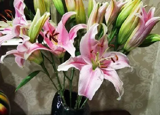 送花|结婚纪念日送什么花 周年纪念适合给老婆的四种鲜花