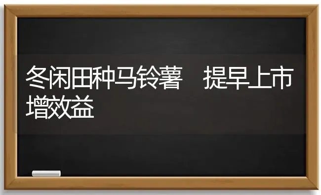 冬闲田种马铃薯 提早上市增效益 | 粮油作物种植