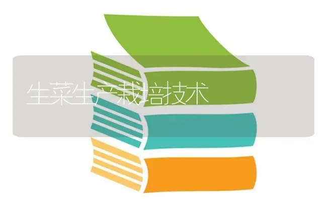 生菜生产栽培技术 | 蔬菜种植