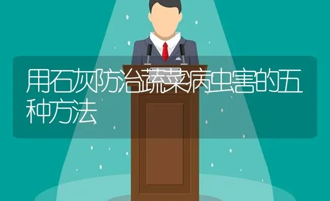 用石灰防治蔬菜病虫害的五种方法 | 蔬菜种植