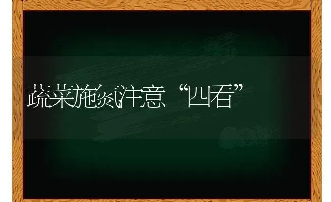 蔬菜施氮注意“四看” | 蔬菜种植