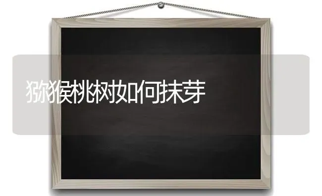 猕猴桃树如何抹芽 | 瓜果种植