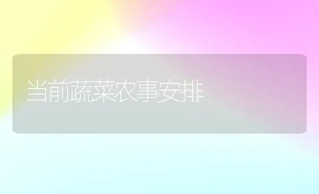 当前蔬菜农事安排 | 蔬菜种植