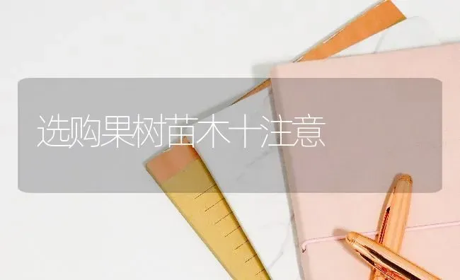 选购果树苗木十注意 | 瓜果种植