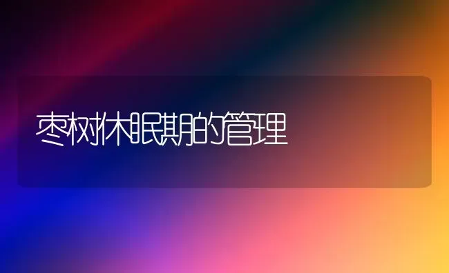 枣树休眠期的管理 | 瓜果种植