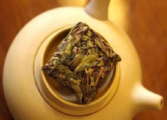 食用常识|漳平水仙茶属于什么茶 福建水仙茶的特点及功效作用