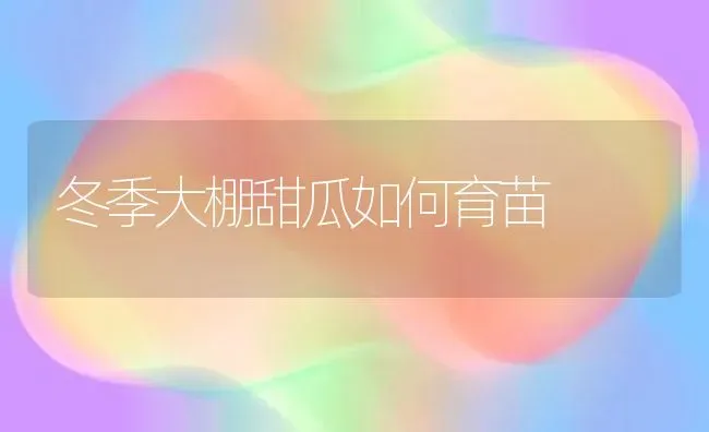 冬季大棚甜瓜如何育苗 | 瓜果种植