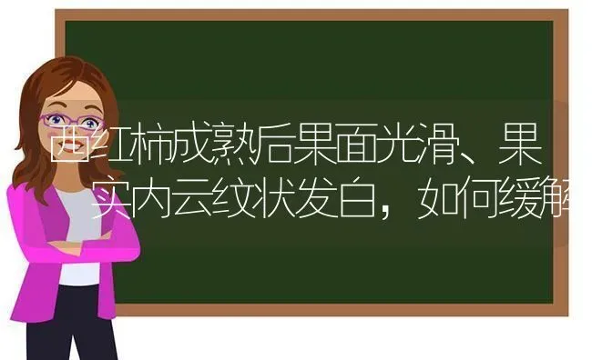 西红柿成熟后果面光滑、果 实内云纹状发白，如何缓解 | 瓜果种植