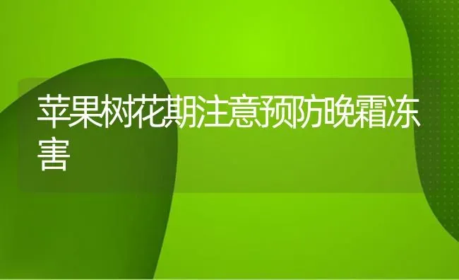 苹果树花期注意预防晚霜冻害 | 瓜果种植