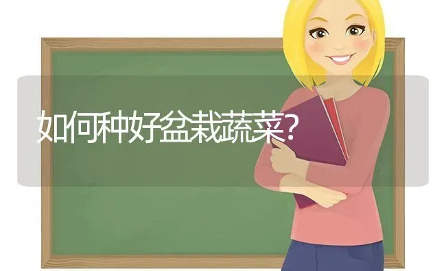 如何种好盆栽蔬菜？ | 蔬菜种植