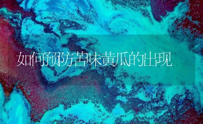 如何预防苦味黄瓜的出现 | 蔬菜种植