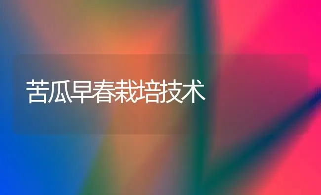 苦瓜早春栽培技术 | 蔬菜种植