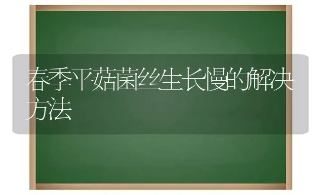 春季平菇菌丝生长慢的解决方法 | 食用菌种植