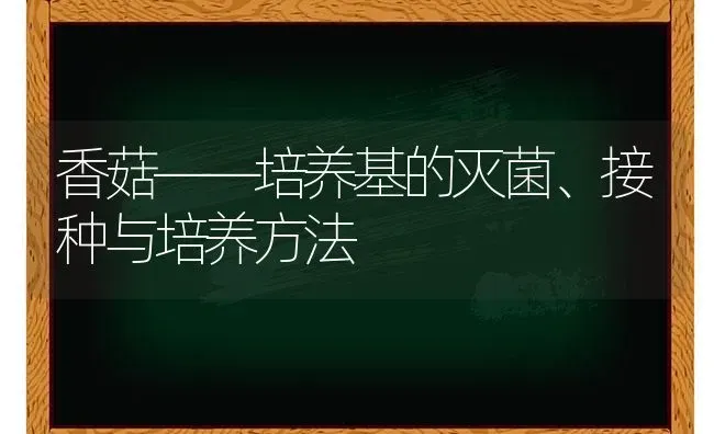 香菇——培养基的灭菌、接种与培养方法 | 食用菌种植