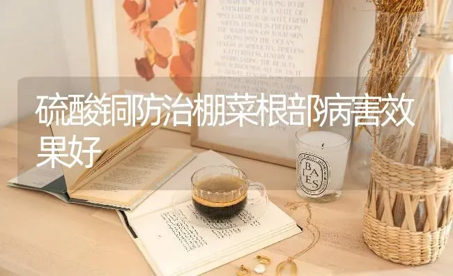 硫酸铜防治棚菜根部病害效果好 | 瓜果种植