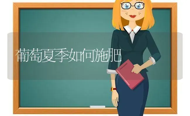 葡萄夏季如何施肥 | 种植肥料施肥