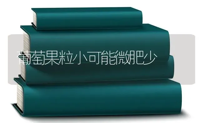 葡萄果粒小可能微肥少 | 瓜果种植