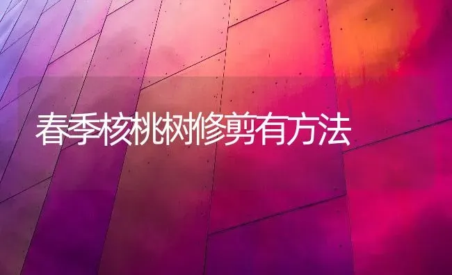 春季核桃树修剪有方法 | 瓜果种植