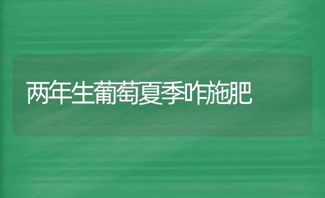 两年生葡萄夏季咋施肥 | 种植肥料施肥