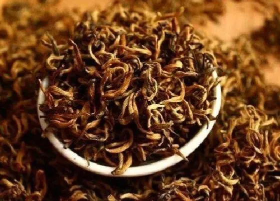 食用须知|三年未开封的红茶还能喝吗（红茶叶超过3年还能喝吗）