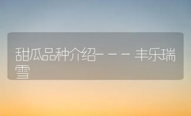 甜瓜品种介绍---丰乐瑞雪 | 瓜果种植